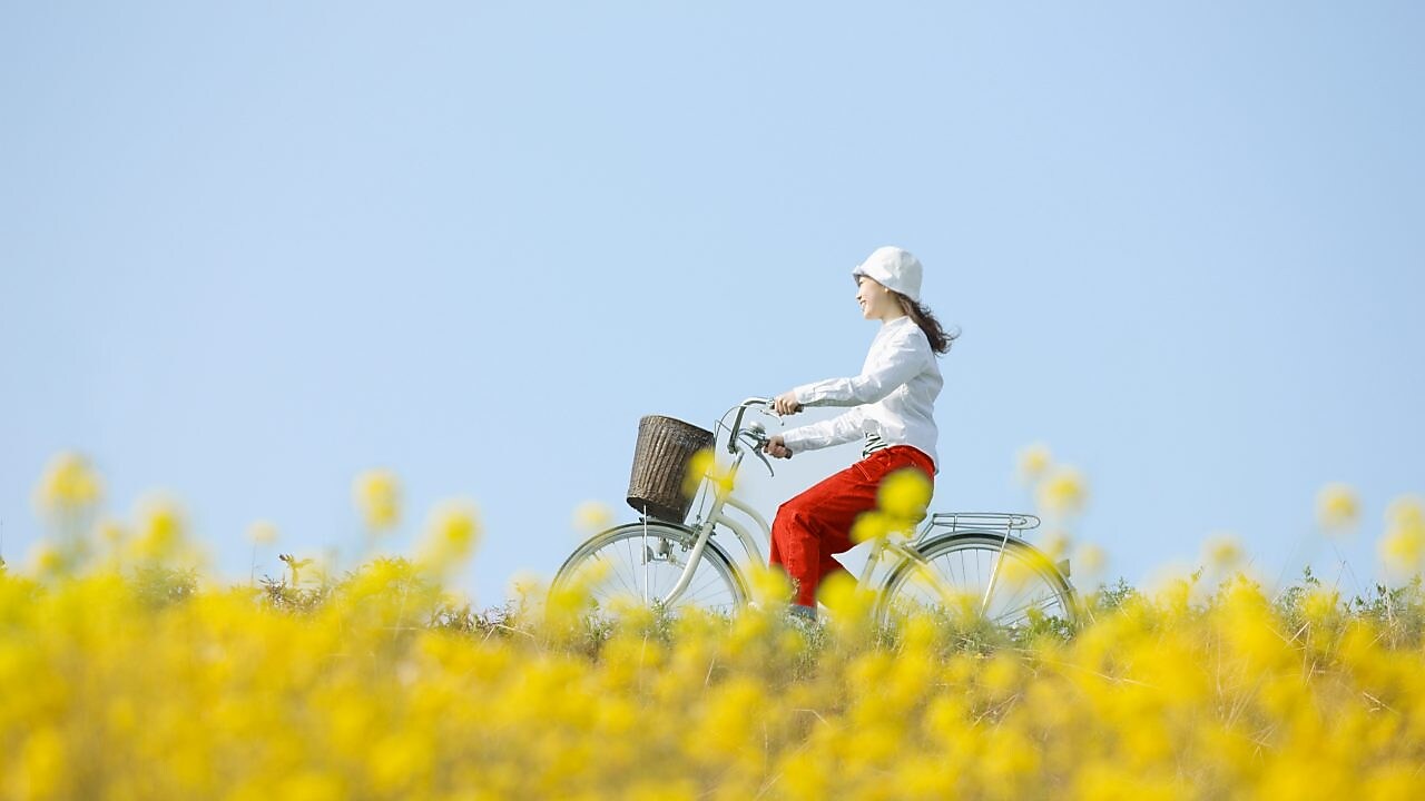 Read more about website accessibility