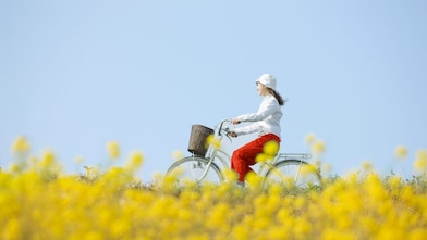 Read more about website accessibility