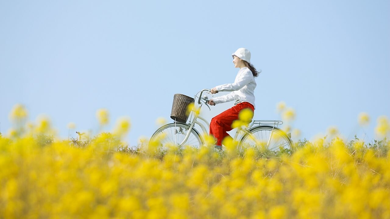 Read more about website accessibility