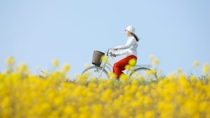 Read more about website accessibility