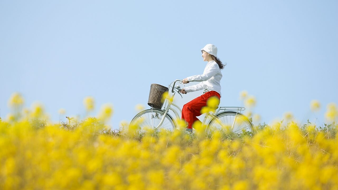 Read more about website accessibility