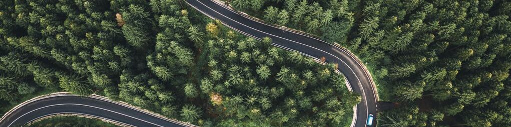 Winding Road in Forest